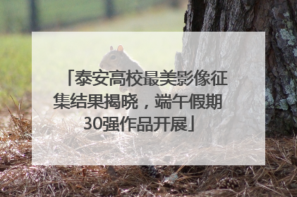 泰安高校最美影像征集结果揭晓，端午假期30强作品开展