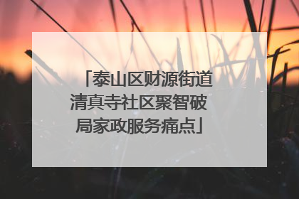 泰山区财源街道清真寺社区聚智破局家政服务痛点