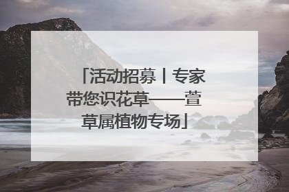 活动招募丨专家带您识花草——萱草属植物专场