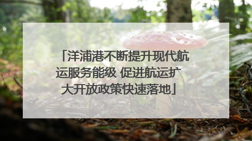洋浦港不断提升现代航运服务能级 促进航运扩大开放政策快速落地