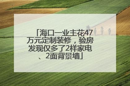 海口一业主花47万元定制装修，验房发现仅多了2样家电、2面背景墙