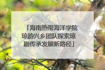 海南热带海洋学院琼韵兴乡团队探索琼剧传承发展新路径