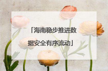 海南稳步推进数据安全有序流动