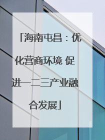 海南屯昌：优化营商环境 促进一二三产业融合发展