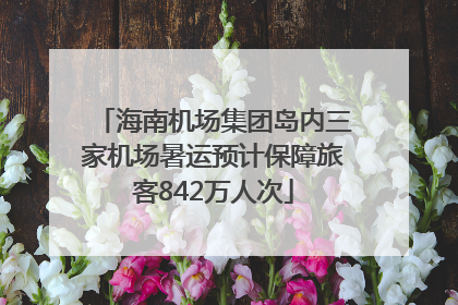 海南机场集团岛内三家机场暑运预计保障旅客842万人次