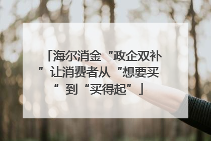 海尔消金“政企双补”让消费者从“想要买”到“买得起”
