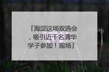 海淀这场双选会，吸引近千名清华学子参加！现场