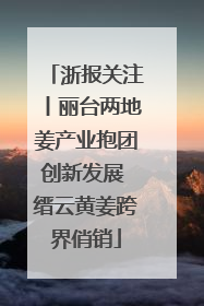 浙报关注丨丽台两地姜产业抱团创新发展 缙云黄姜跨界俏销