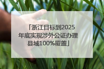 浙江目标到2025年底实现涉外公证办理县域100%覆盖