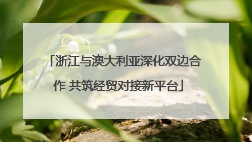 浙江与澳大利亚深化双边合作 共筑经贸对接新平台