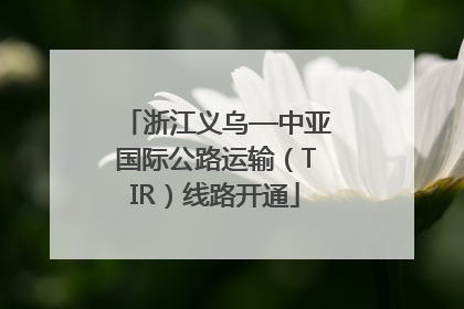 浙江义乌—中亚国际公路运输（TIR）线路开通
