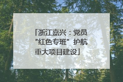 浙江嘉兴：党员“红色专班”护航重大项目建设