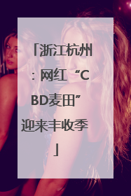 浙江杭州：网红“CBD麦田”迎来丰收季