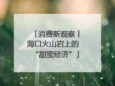 消费新观察丨海口火山岩上的“甜蜜经济”