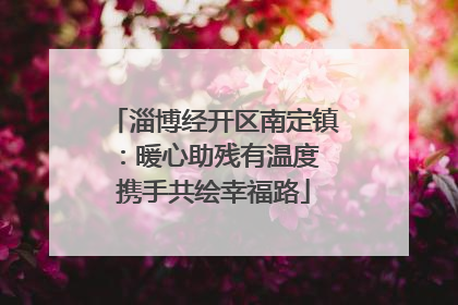 淄博经开区南定镇：暖心助残有温度 携手共绘幸福路