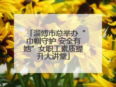 淄博市总举办“巾帼守护 安全有她”女职工素质提升大讲堂