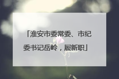 淮安市委常委、市纪委书记岳岭，履新职