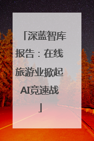 深蓝智库报告：在线旅游业掀起AI竞速战