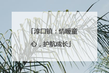 淳口镇：情暖童心，护航成长