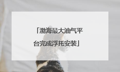渤海最大油气平台完成浮托安装