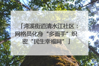 湾溪街道清水江社区：网格员化身“多面手”织密“民生幸福网”
