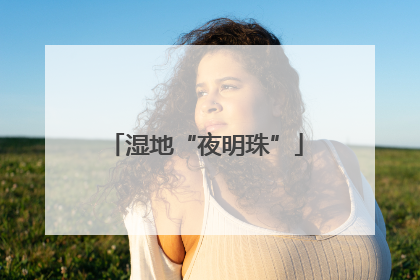 湿地“夜明珠”