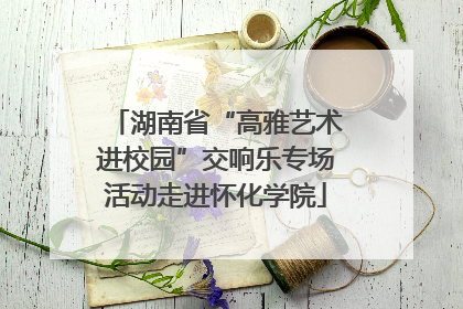 湖南省“高雅艺术进校园”交响乐专场活动走进怀化学院
