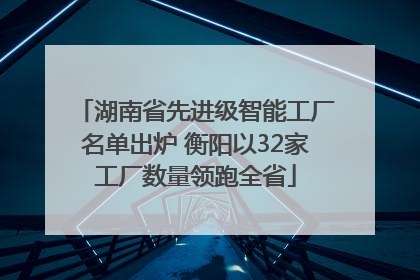 湖南省先进级智能工厂名单出炉 衡阳以32家工厂数量领跑全省