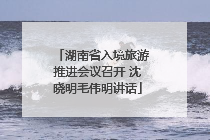 湖南省入境旅游推进会议召开 沈晓明毛伟明讲话