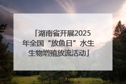 湖南省开展2025年全国“放鱼日”水生生物增殖放流活动