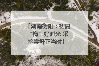 湖南衡阳：初夏“梅”好时光 采摘尝鲜正当时