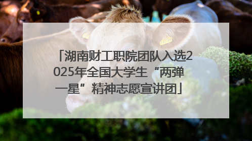 湖南财工职院团队入选2025年全国大学生“两弹一星”精神志愿宣讲团