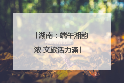 湖南：端午湘韵浓 文旅活力涌