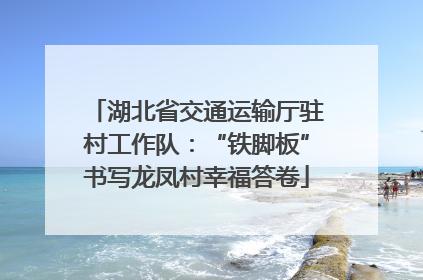 湖北省交通运输厅驻村工作队：“铁脚板”书写龙凤村幸福答卷
