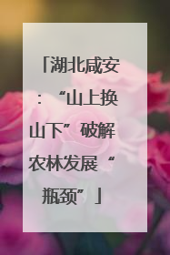 湖北咸安：“山上换山下”破解农林发展“瓶颈”