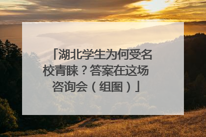 湖北学生为何受名校青睐？答案在这场咨询会（组图）