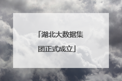 湖北大数据集团正式成立