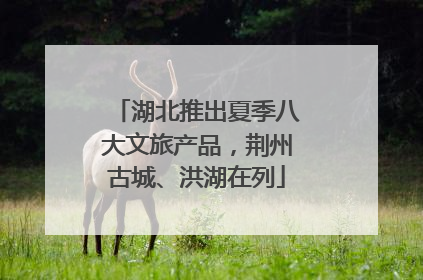 湖北推出夏季八大文旅产品，荆州古城、洪湖在列