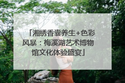 湘绣香囊养生+色彩风暴：梅溪湖艺术博物馆文化体验盛宴