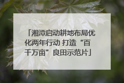湘潭启动耕地布局优化两年行动 打造“百千万亩”良田示范片