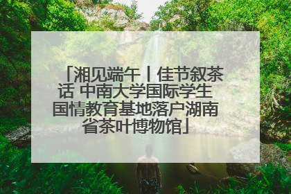 湘见端午丨佳节叙茶话 中南大学国际学生国情教育基地落户湖南省茶叶博物馆