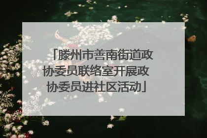 滕州市善南街道政协委员联络室开展政协委员进社区活动
