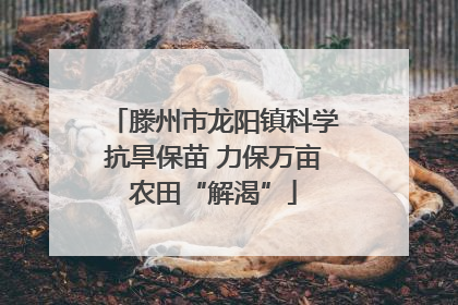 滕州市龙阳镇科学抗旱保苗 力保万亩农田“解渴”