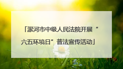漯河市中级人民法院开展“六五环境日”普法宣传活动