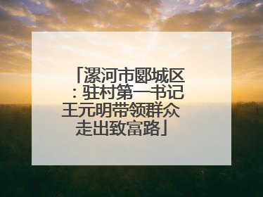 漯河市郾城区：驻村第一书记王元明带领群众走出致富路