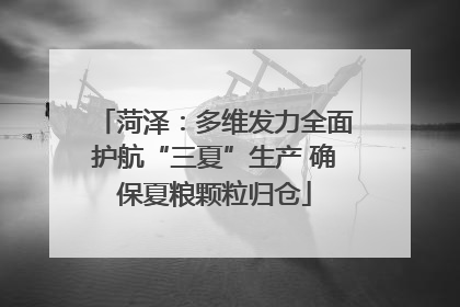 菏泽：多维发力全面护航“三夏”生产 确保夏粮颗粒归仓
