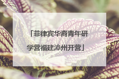 菲律宾华裔青年研学营福建漳州开营