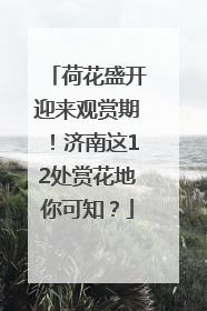 荷花盛开迎来观赏期！济南这12处赏花地你可知？