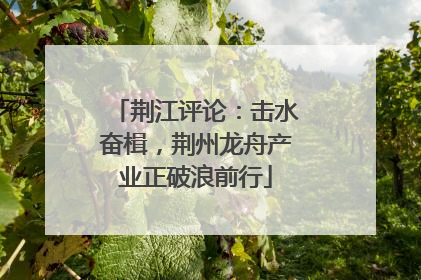 荆江评论：击水奋楫，荆州龙舟产业正破浪前行