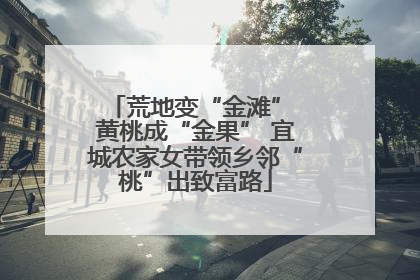 荒地变“金滩” 黄桃成“金果” 宜城农家女带领乡邻“桃”出致富路